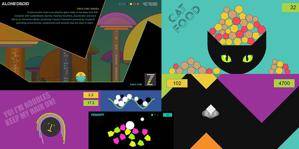 ZIM Physics Examples