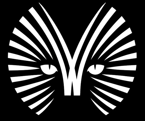 Whiskers Projection Mapping App