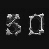 Spider Bone Countdown on the Canvas made with ZIM JavaScript HTML Canvas Interactive Media Framework - ZIMjs