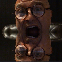 Reflection App! with Cam on the Canvas made with ZIM JavaScript HTML Canvas Interactive Media Framework - ZIMjs