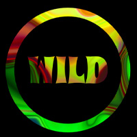 Wild Rainbow Shader Alpha Effect on the Canvas made with ZIM JavaScript HTML Canvas Interactive Media Framework - ZIMjs